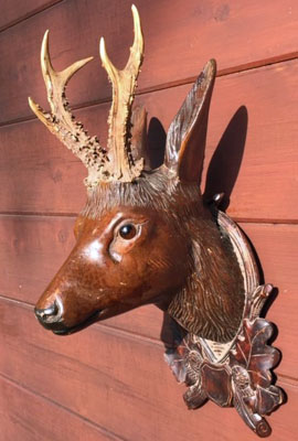 Black Forest Roe Buck Head