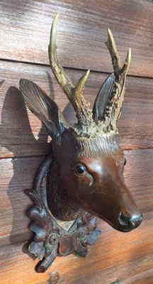 Black Forest Roe Buck Head