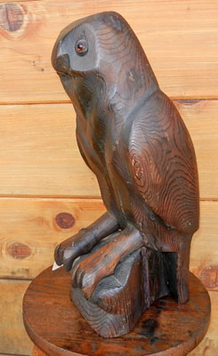 Owl