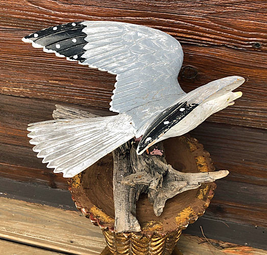 Herring Gull Carving