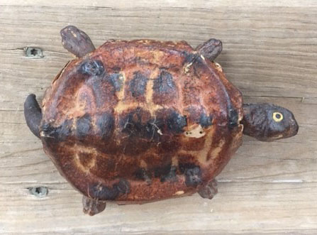 Turtle Friction Toy